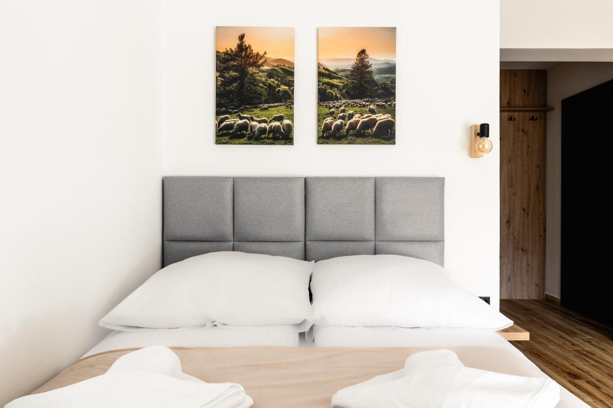 Apartamenty Zakochata זקופאנה מראה חיצוני תמונה