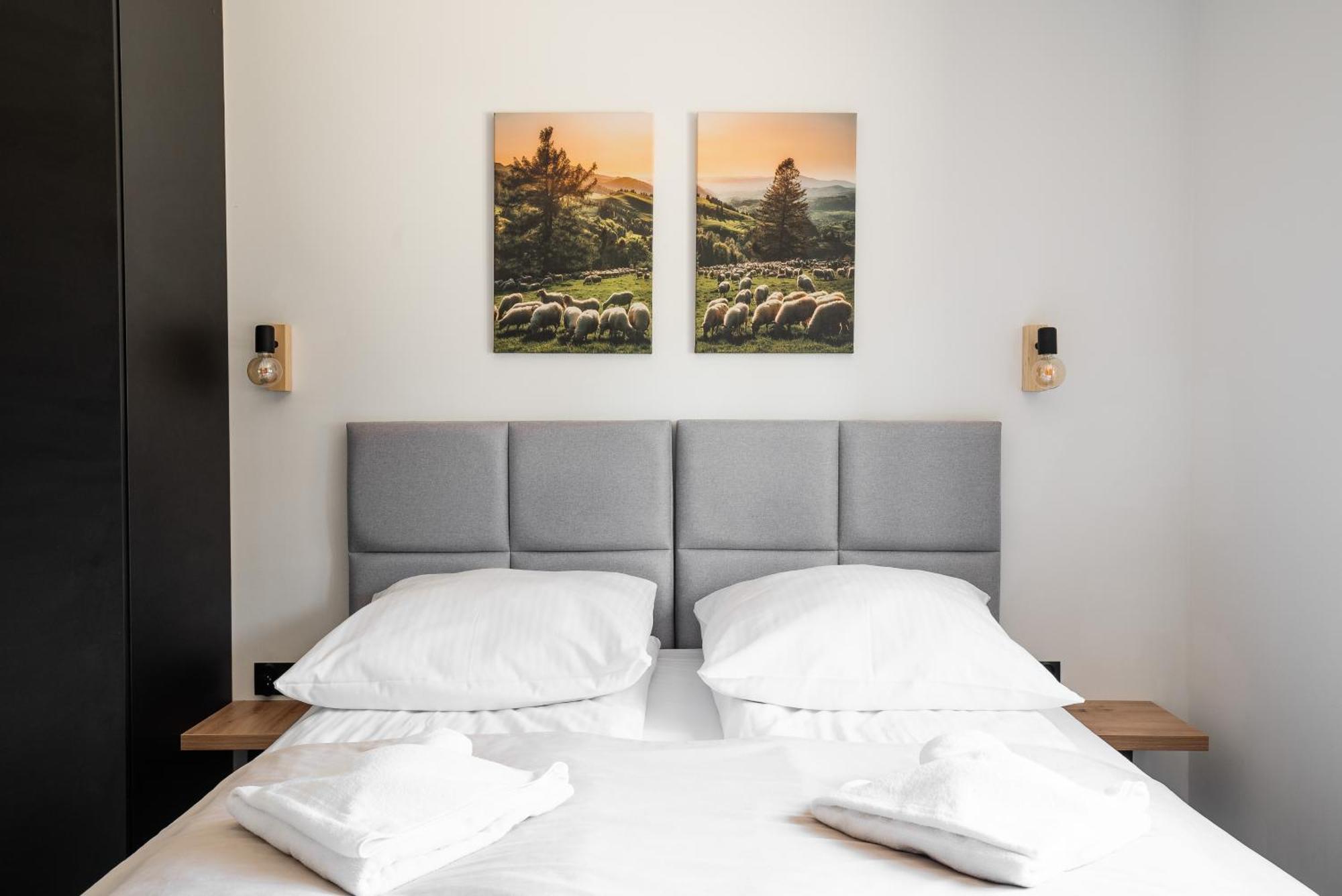 Apartamenty Zakochata זקופאנה חדר תמונה